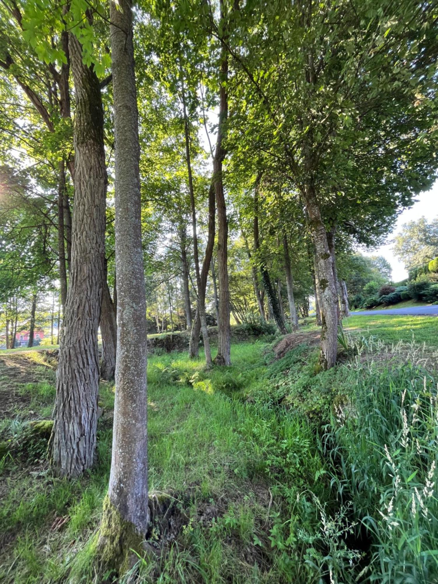 Apartman Pisarovka Lesna  Exteriör bild
